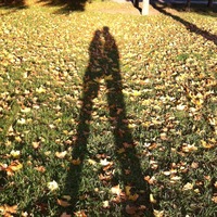 Елена Иванова