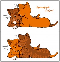 картинки белка коты воители