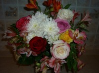 Дарья Губарева | Волгоград