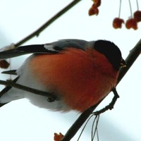 Александр Зайцев