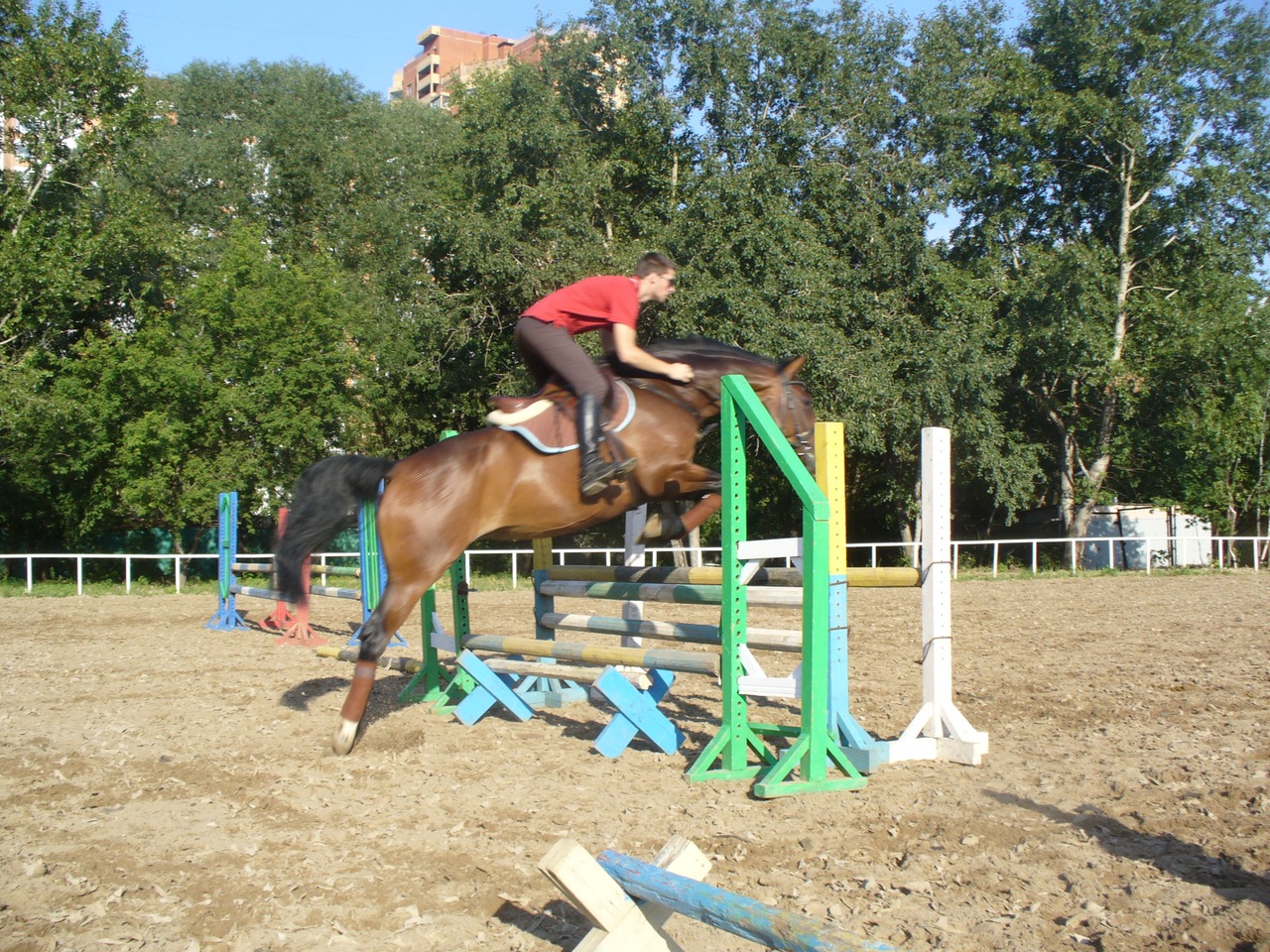 z_37a8853d.jpg