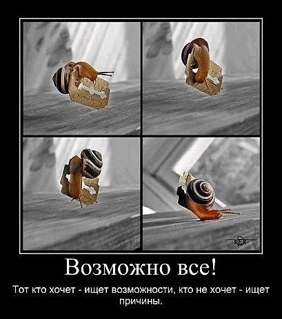 Кто хочет ищет возможности кто не хочет оправдания картинки, днем дурака открытка