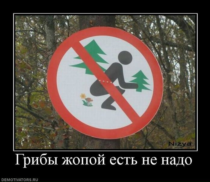 x_bbb7a045.jpg