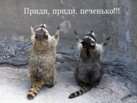 Саша Щеголев