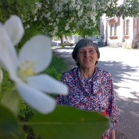 Ирина Соколова