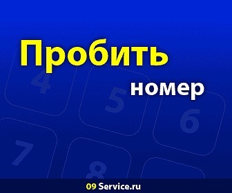 Генератор номеров беларусь