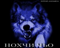 Шамиль Хасаев