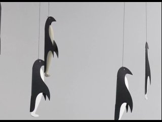 Baby Einstein. World Animal Adventure (Приключения животных мира), 12 мес+