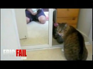 It's You! - Вконтакте (id40279473) - лучшее видео у него!