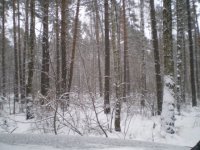 Вася Иванов