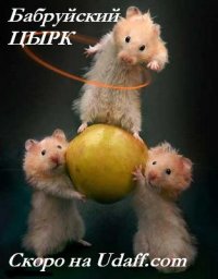 Саша Горинов