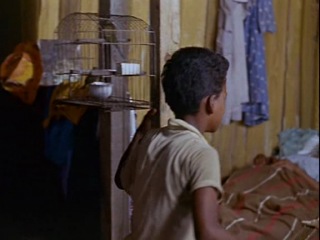 Черный Орфей / Orfeu Negro 1959 / ЯРКИЙ ФИЛЬМ, МНОГО ГИТАРНОЙ МУЗЫКИ И ТАНЦЕВ, СЛЁЗ И РАДОСТИ