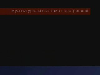Repack Azov Films Water Wiggles Going Commando Coub Sexiz ...