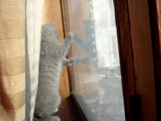 Hey, baby baby)lala lala lala la)