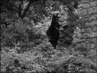 Комиссары (1969)