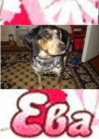 Ева Сабака