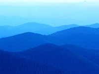 Артём Семенович