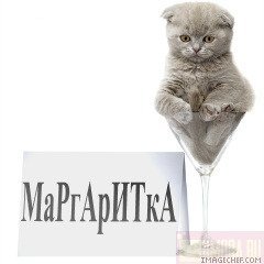 Морковь без проблем 80 Морковь без проблем 12