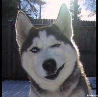 Эдуардо Ким