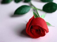 Тайный Поклонник