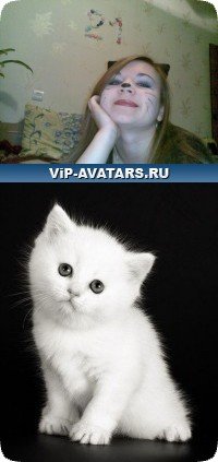 Юлия Франц