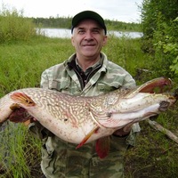 Владимир Таран