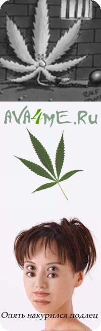 Дима Дубенец
