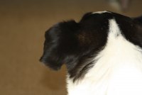 Анна Басистова