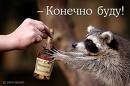 Сергей Гулай