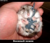 Ronnyk Rufus