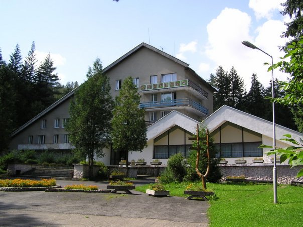 Отдых в Карпатах на Закарпатье. Частный сектор | VK