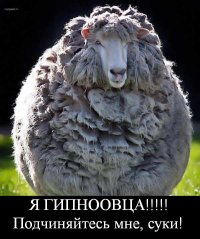 Ваня Шерсть