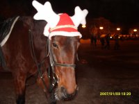 Иван Подергин