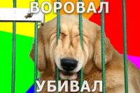 Паша Пыщъ