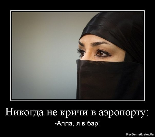 Смешные исламские картинки