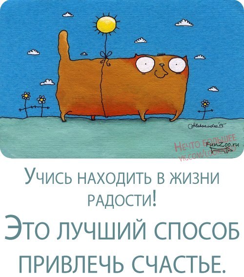 Цветы радости жизни. Находить радость в каждом дне. Умей находить радость в жизни. Счастье состоит из мелочей. Радоваться жизни.