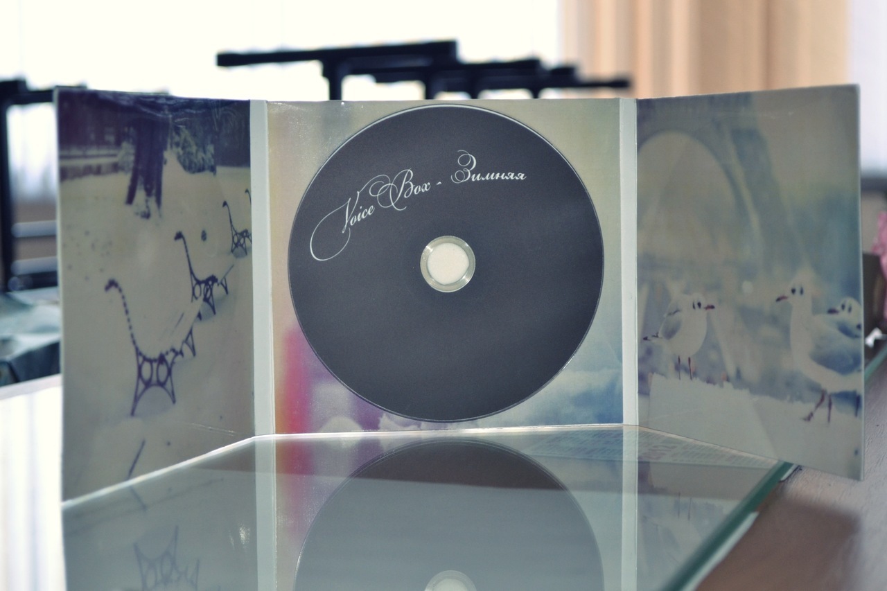 Фирменные Cd Диски Интернет Магазин