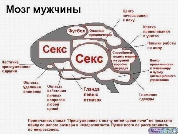 картинки страсть и любовь в постели онлайн картинки страсть и любовь в постели