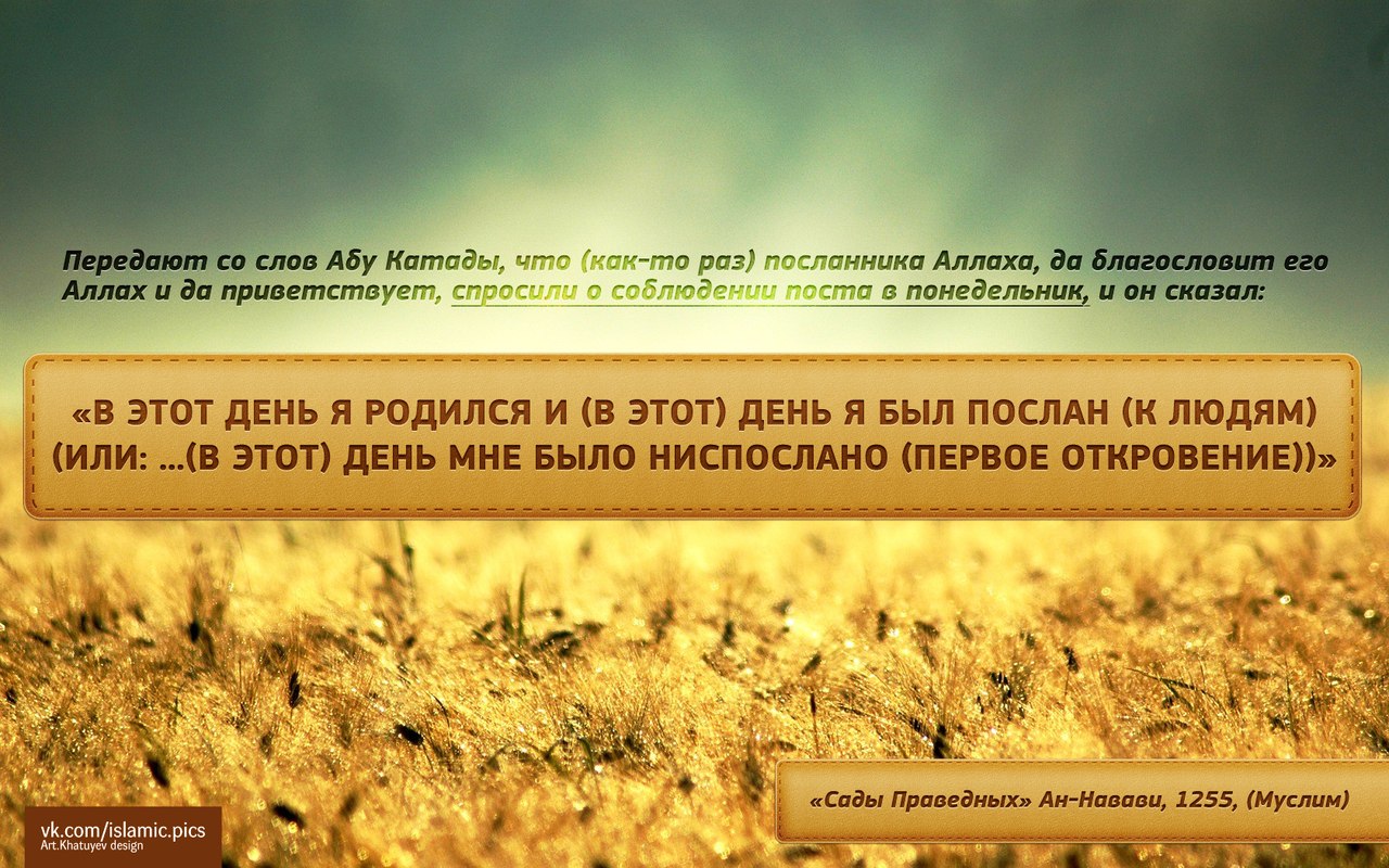 Открытка блогах, картинки с надписями со смыслом про людей исламские