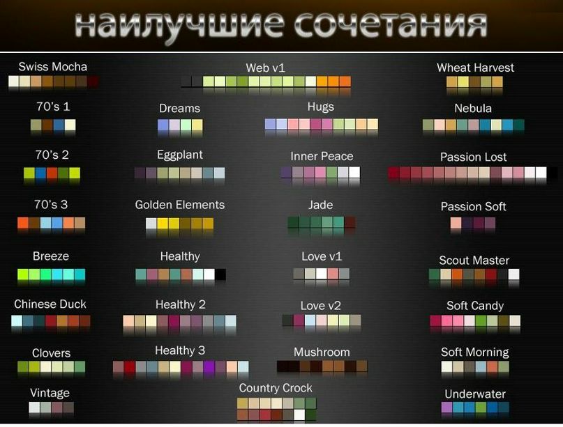 Палитра Цветов Для Интернет Магазина