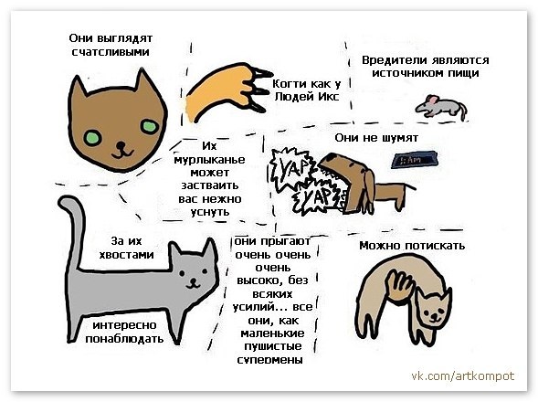 картинки 6 причин быть котом