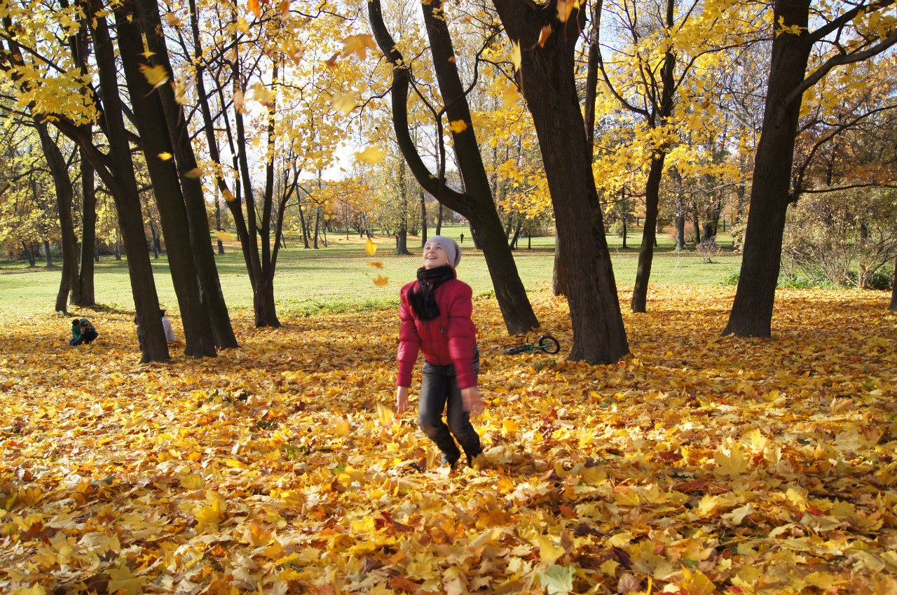 Светлана Ерофеева