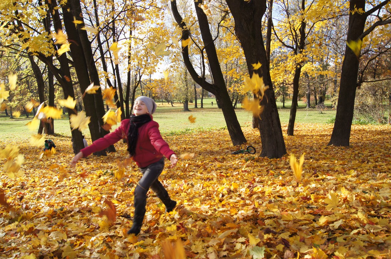 Светлана Ерофеева
