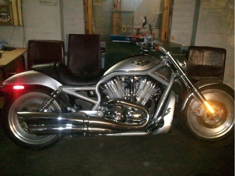 Harley Davidson VRSCA 2003