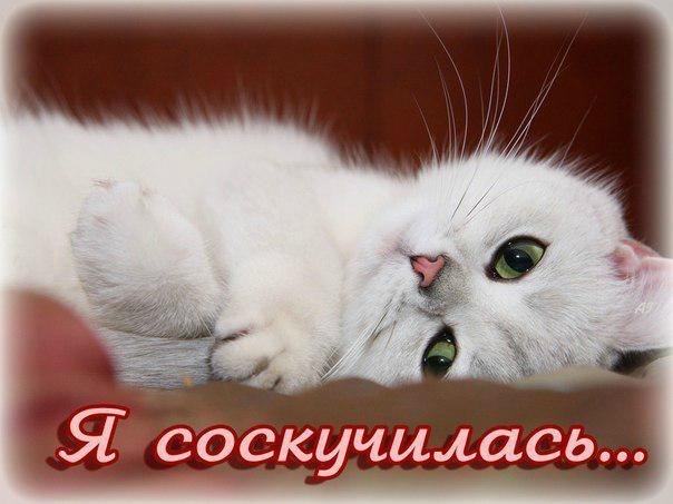 Картинки красивые Скучаю!36 фото Прикольные картинки Картинки красивые Скучаю!36 фото Прикольные картинки