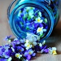 Марина Бондарь