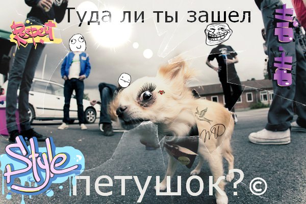 010JtrN9PmE.jpg