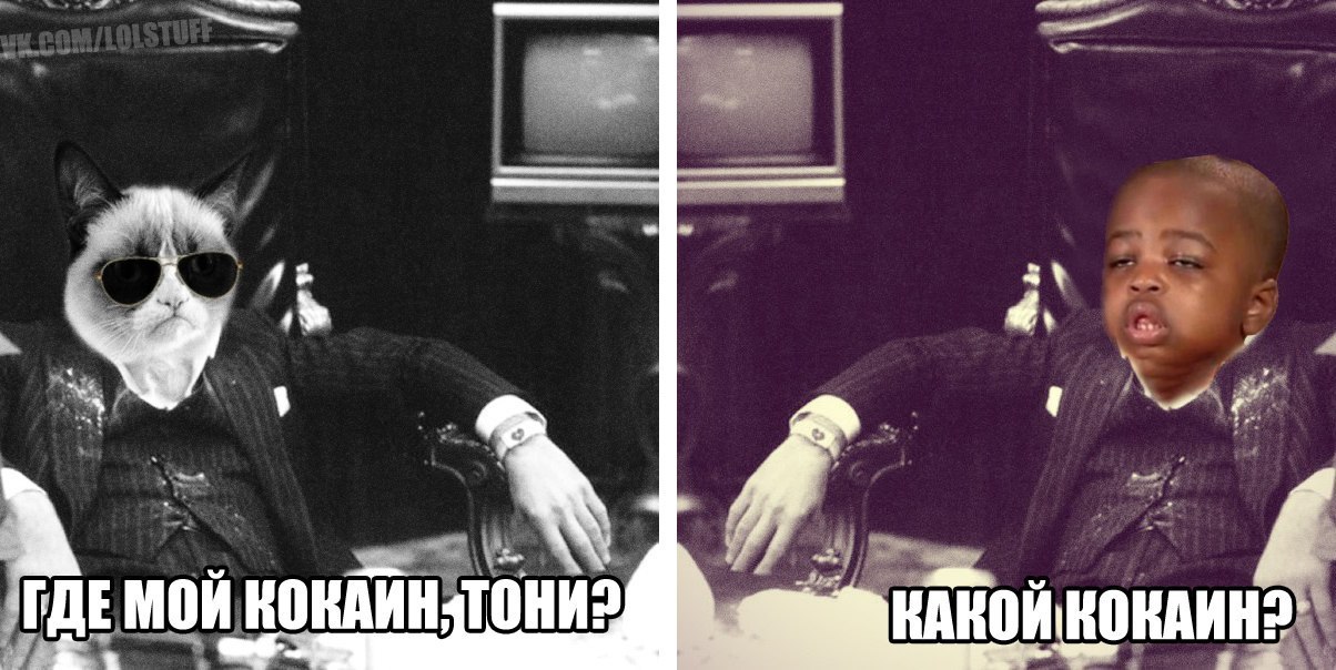 Где мои деньги картинка прикол