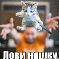 Нереальные Няши
