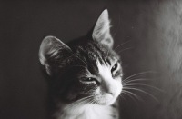 Дмитрий Даймаров